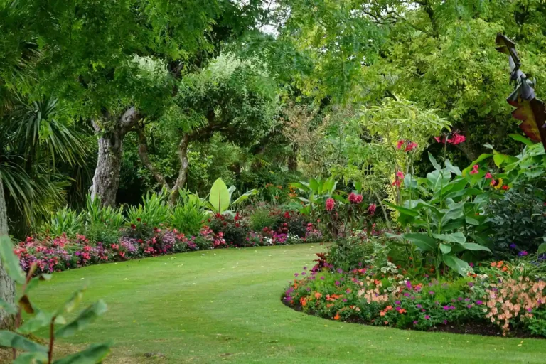 Comment aménager son jardin