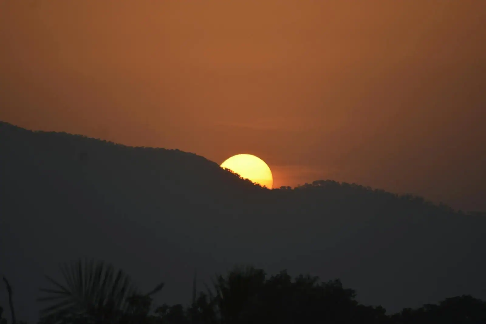 Coucher de soleil sur l'horizon avec ciel orangé et bleu profond