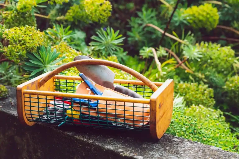 Outil de jardinage : le guide complet pour bien s&rsquo;équiper