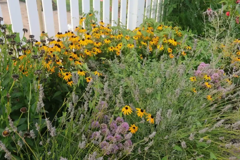 Plante du jardin : comment choisir, planter et entretenir ses végétaux