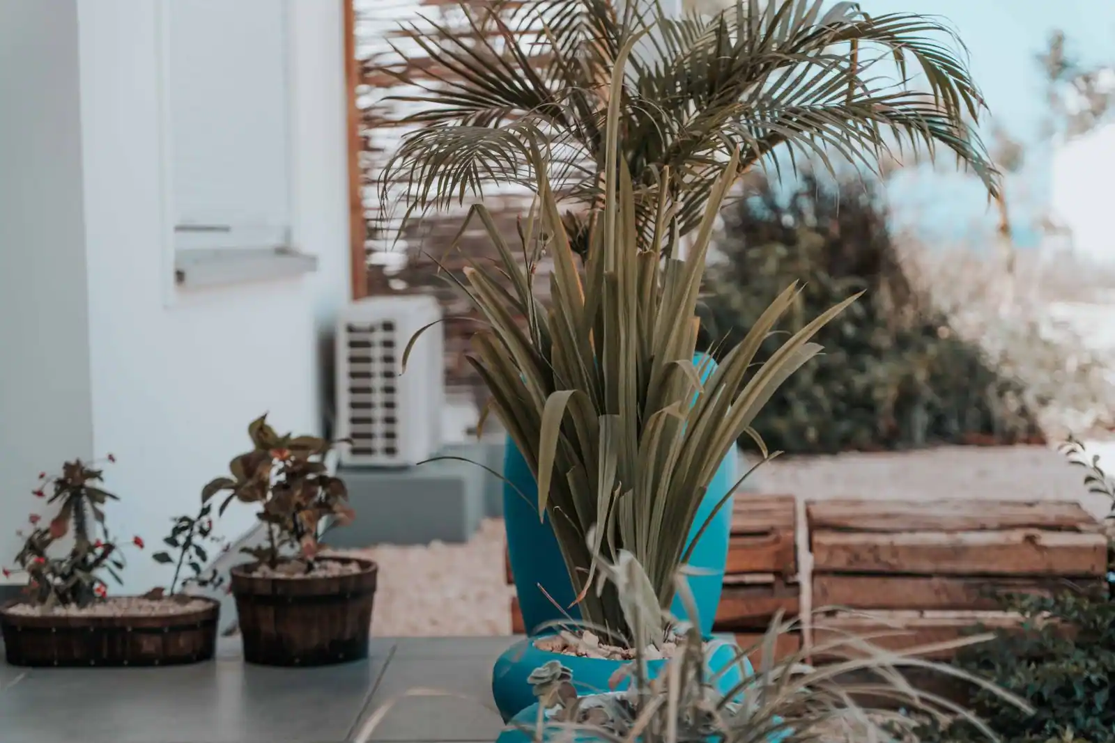 Terrasse végétalisée avec olivier et bambou artificiels réalistes