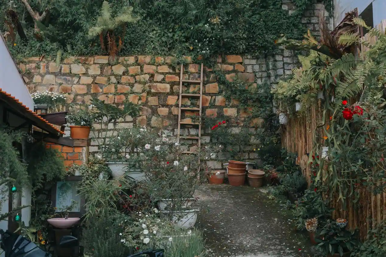 Jardin verdoyant adossé à un haut mur de pierre habillé de plantes grimpantes, avec rosiers et pots en terre cuite