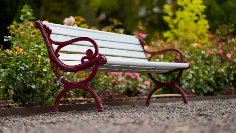 Bordure de jardin en bois : la choisir et la poser