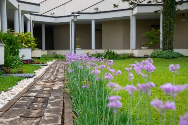 Bordure de jardin chez Brico Dépôt : bien choisir et poser la sienne
