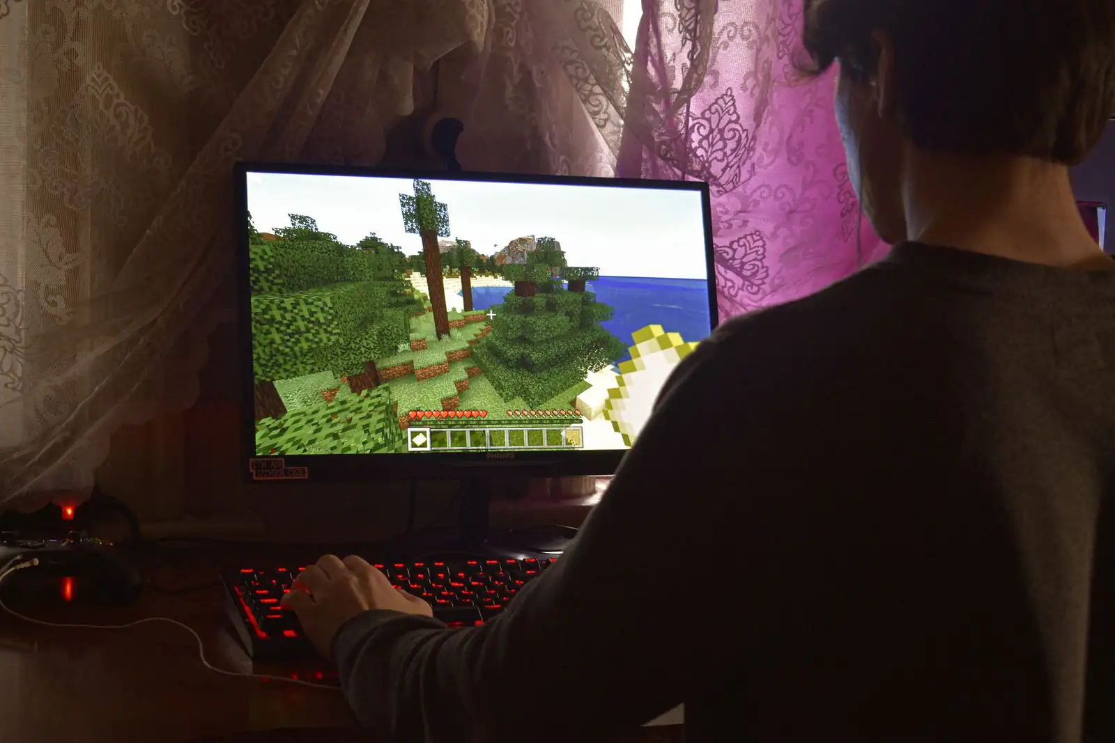 Un joueur devant son écran affichant le paysage en blocs d'un jeu vidéo de type bac à sable.