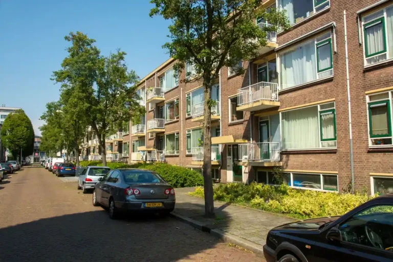Appartement ou maison en location : comment bien choisir