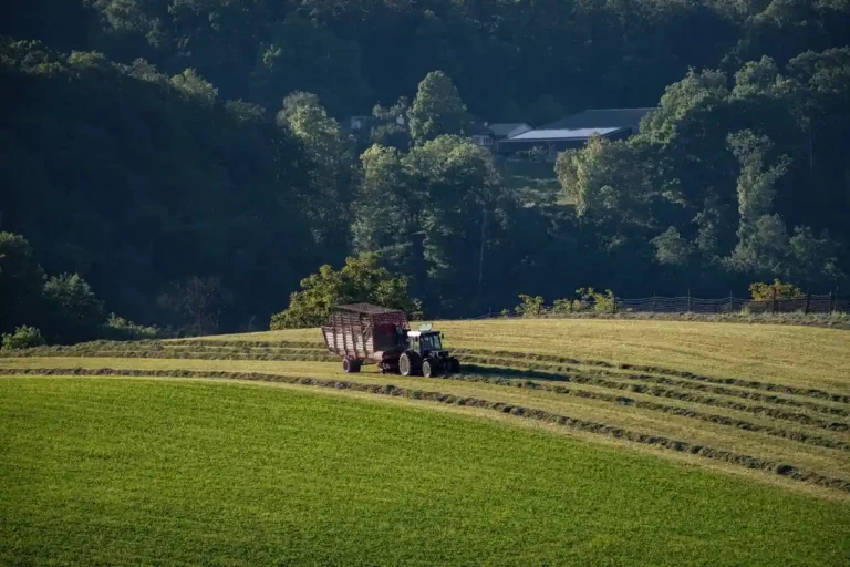 Chambre d&rsquo;agriculture : rôle, missions et fonctionnement