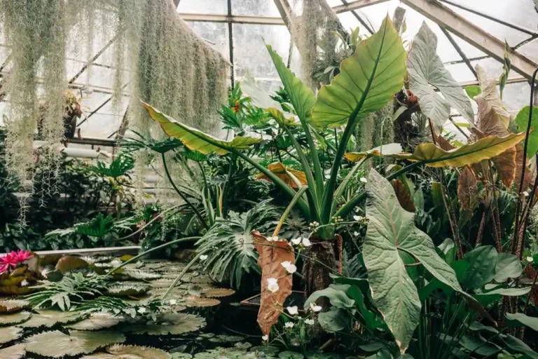 Jardin des Plantes de Nantes : que voir et quand y aller