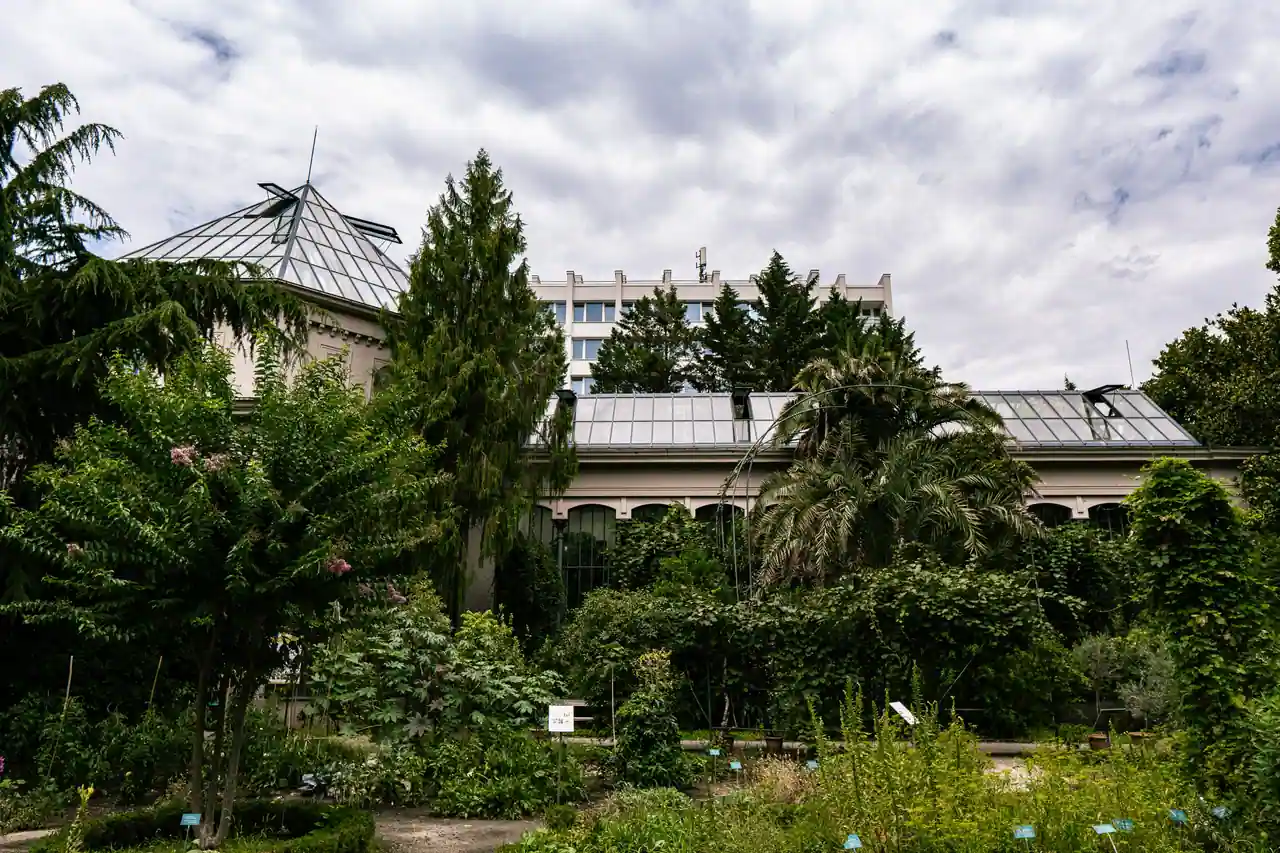 Serre ancienne à verrière et parterres botaniques étiquetés d'un jardin des plantes historique, entre arbres anciens