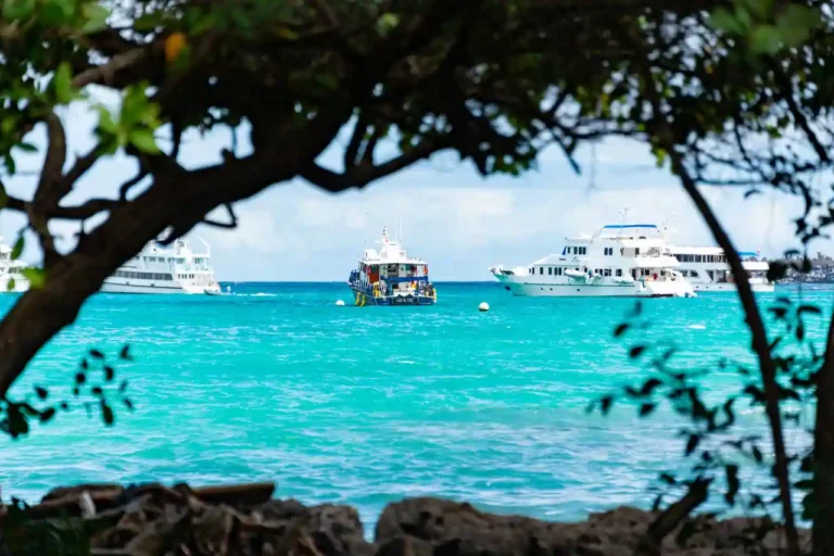 Location de yacht : formules, permis et coût réel