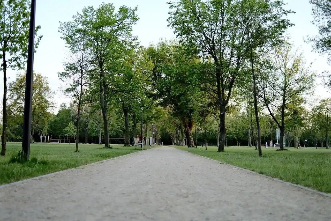 Grande allée arborée d'un parc de promenade familial, bordée de pelouses et de grands arbres