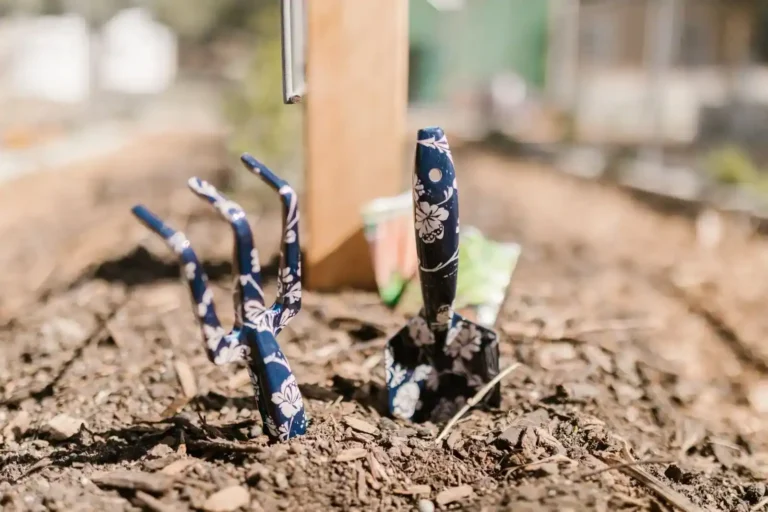 Outil de jardinage dans 94% : toutes les réponses du niveau