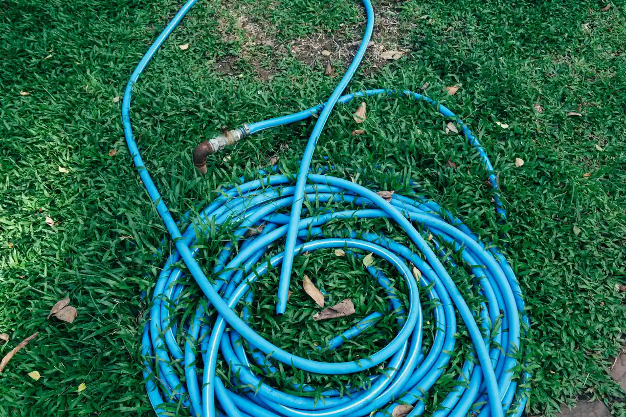 Tuyau d'arrosage bleu enroulé sur une pelouse, l'outil de base pour siphonner une piscine hors sol